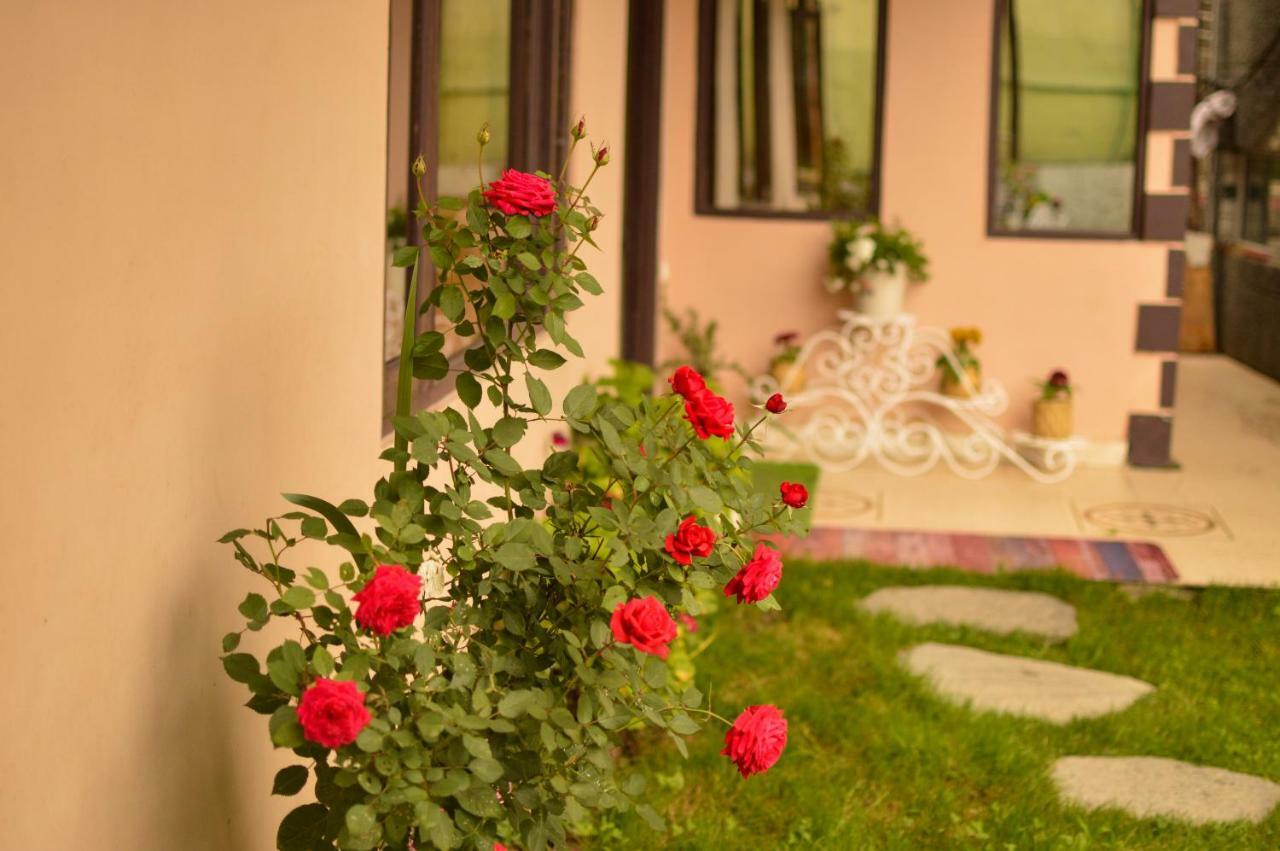 Hill House Manali -A Home In Mountains ภายนอก รูปภาพ